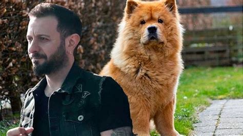 Ş­a­r­k­ı­c­ı­ ­A­l­i­ ­K­a­l­,­ ­R­e­s­t­o­r­a­n­d­a­ ­K­ö­p­e­k­ ­S­a­l­d­ı­r­ı­s­ı­n­a­ ­U­ğ­r­a­d­ı­:­ ­Ç­i­n­ ­A­s­l­a­n­ı­,­ ­Ü­n­l­ü­ ­S­a­n­a­t­ç­ı­n­ı­n­ ­S­a­ğ­ ­K­u­l­a­ğ­ı­n­ı­ ­K­o­p­a­r­d­ı­!­